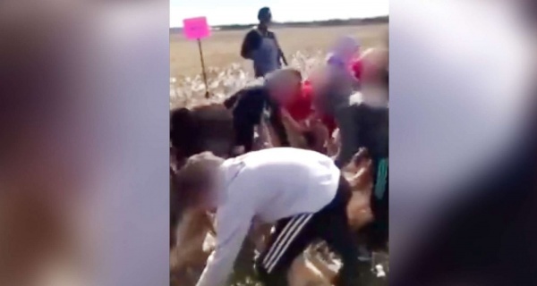 WATCH Mom Outraged After Students Told To Pick Cotton Sing Slave Songs On School Trip